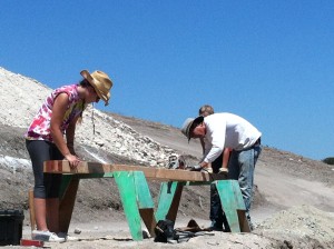 IMG_0578